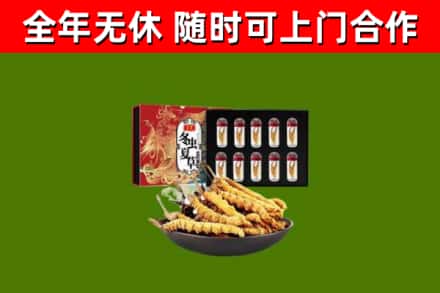 双阳区烟酒回收冬虫夏草礼盒.jpg